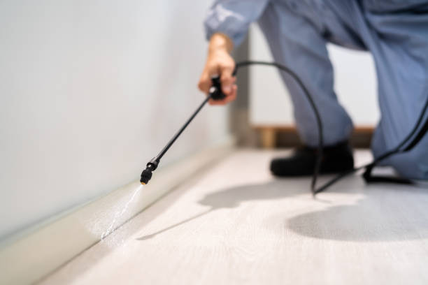 Licensed Termite Control service in Calverton, MD - Nex Pest Control