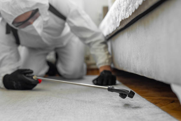 Professional Termite Control technician working in Calverton, MD