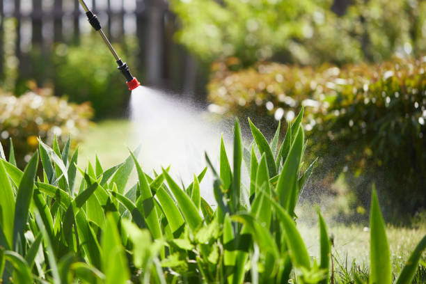 24/7 Emergency Termite Control experts in Calverton, MD