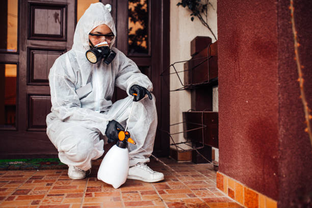 Reliable Termite Control contractor in Calverton, MD by Nex Pest Control