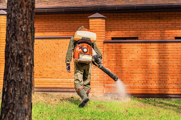 Top rated local Termite Control specialists in Calverton, MD